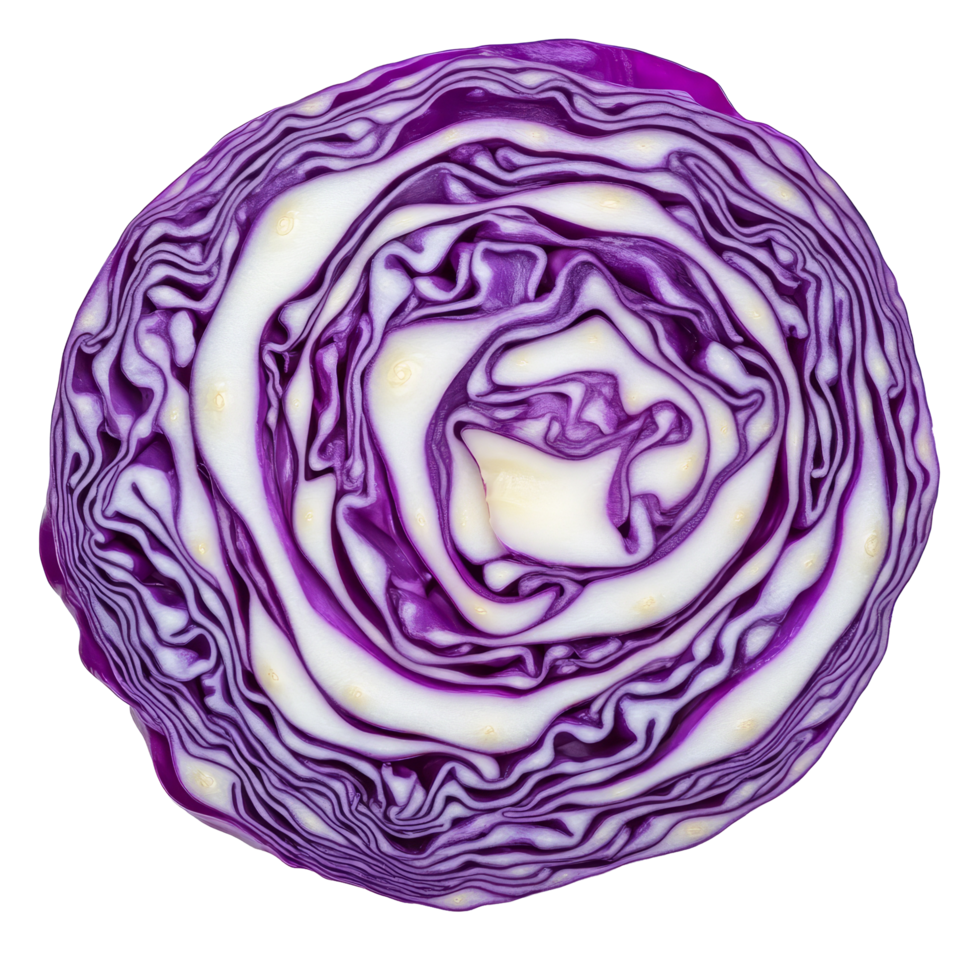 A detailed slice of purple cabbage showcasing its vibrant colors and intricate layers on a clean transparent background, Purple cabbage slice on transparent background png