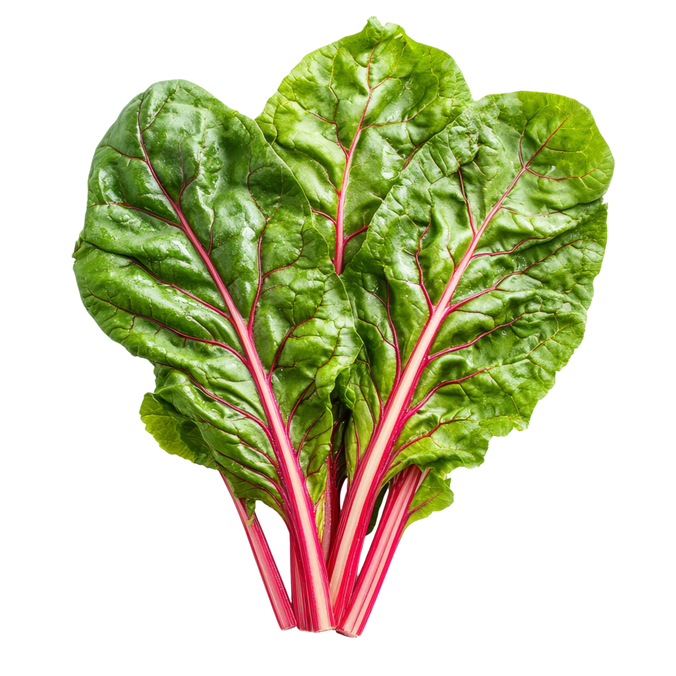 Fresh Swiss chard leaves with vibrant red stems isolated on a transparent background ready for culinary use, Swiss chard leaves vegetable isolated on transparent background png