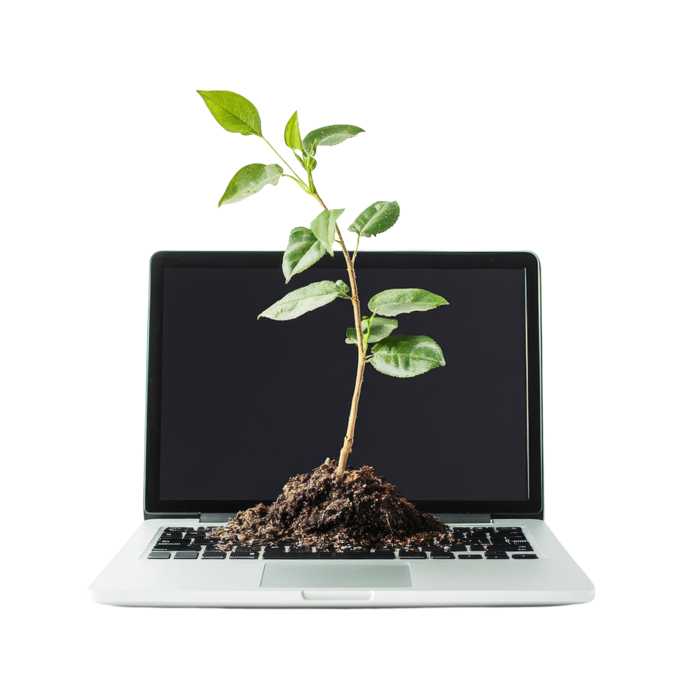A plant thriving through a laptop keyboard symbolizes natures resilience against technology in a minimalist setting, Plant Growing Through Laptop on transparent background png