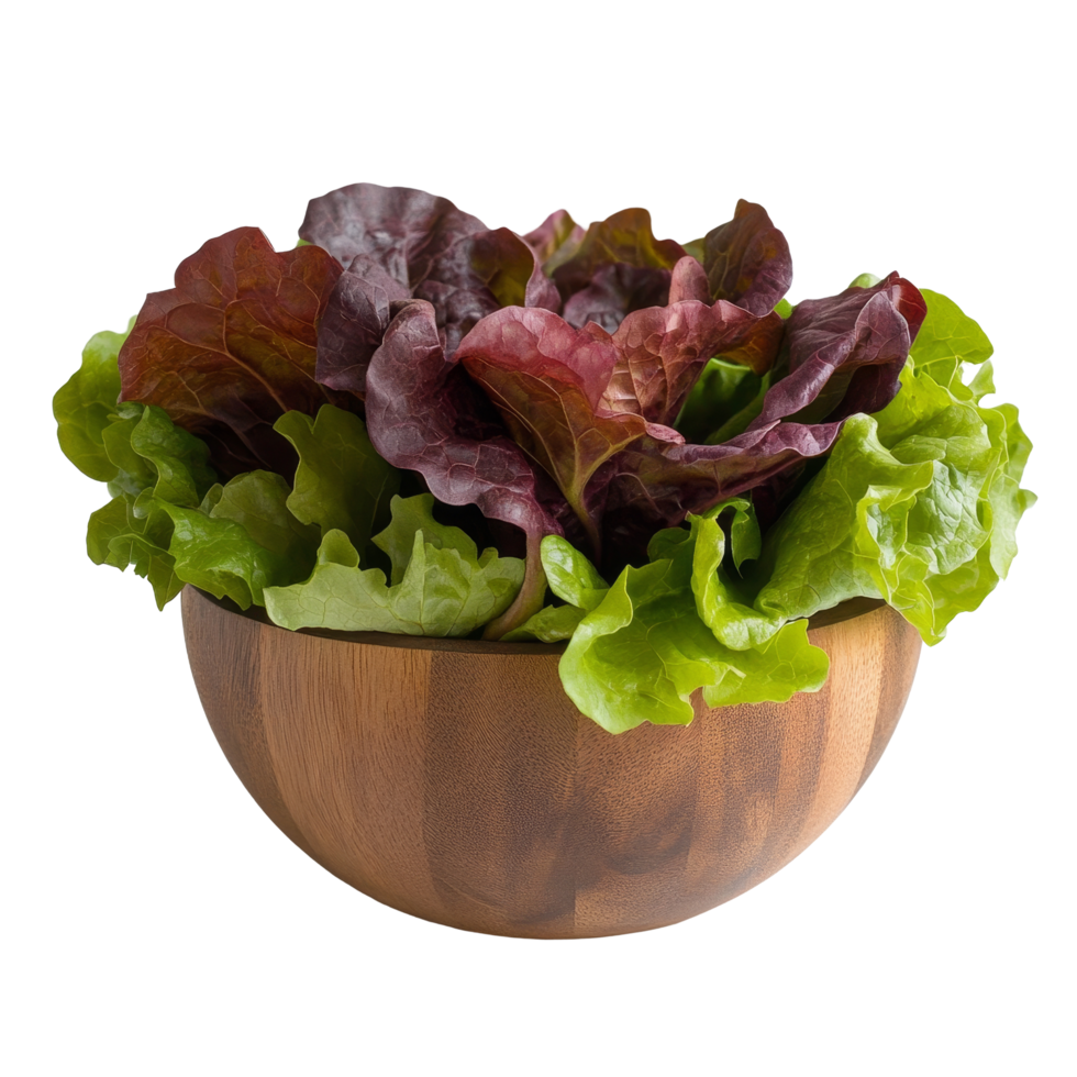 Fresh red oak lettuce in a wooden bowl against a simple transparent background for a healthy culinary choice, Red oak lettuce in wood bowl on transparent background png