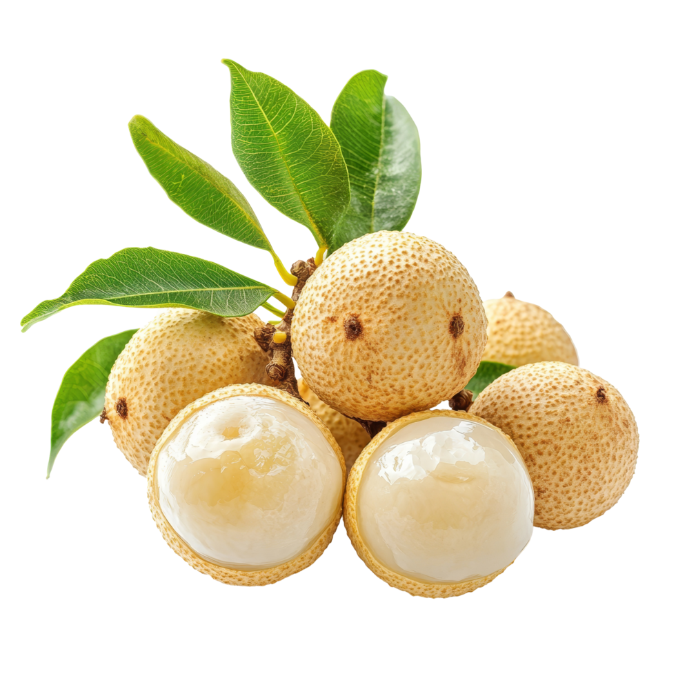 Fresh longan fruit with translucent flesh and green leaves on a clean transparent backdrop ready for enjoyment or culinary use, Longan on transparent background png