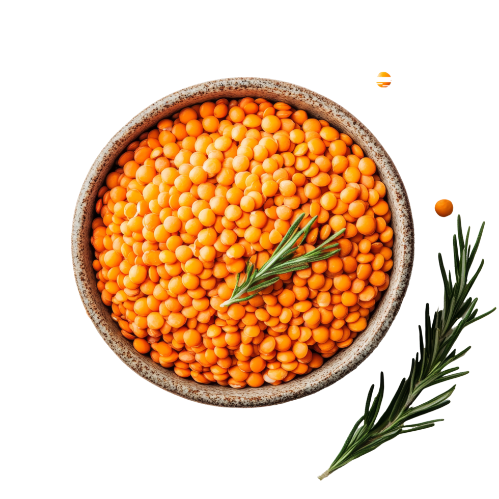 A bowl of vibrant orange lentils on a transparent surface surrounded by fresh rosemary sprigs, lentils in a bowl on transparent background png