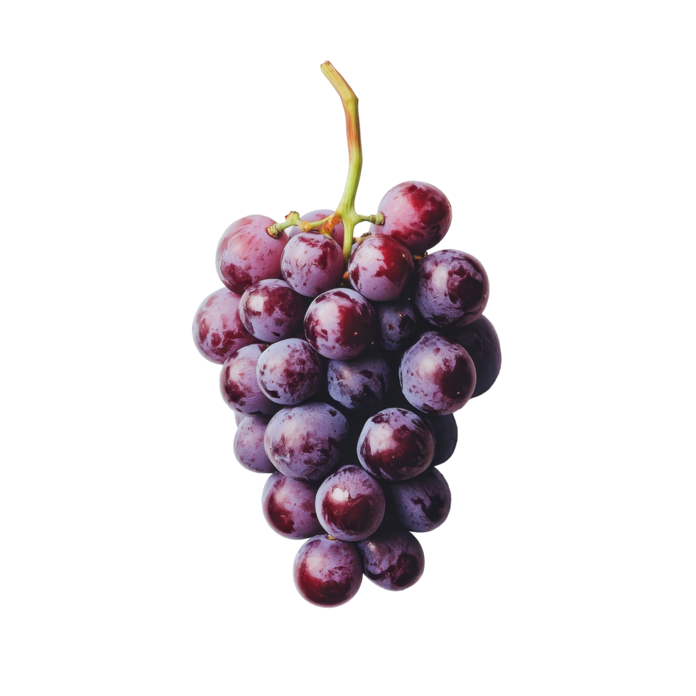 A bunch of ripe purple grapes resting on a clean transparent background for a fresh and vibrant look, grape on transparent background png