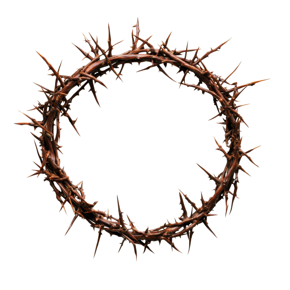 Round crown of thorns set against a transparent background representing symbolism and sacrifice in a religious context, Round Crown of thorns isolated on transparent background png