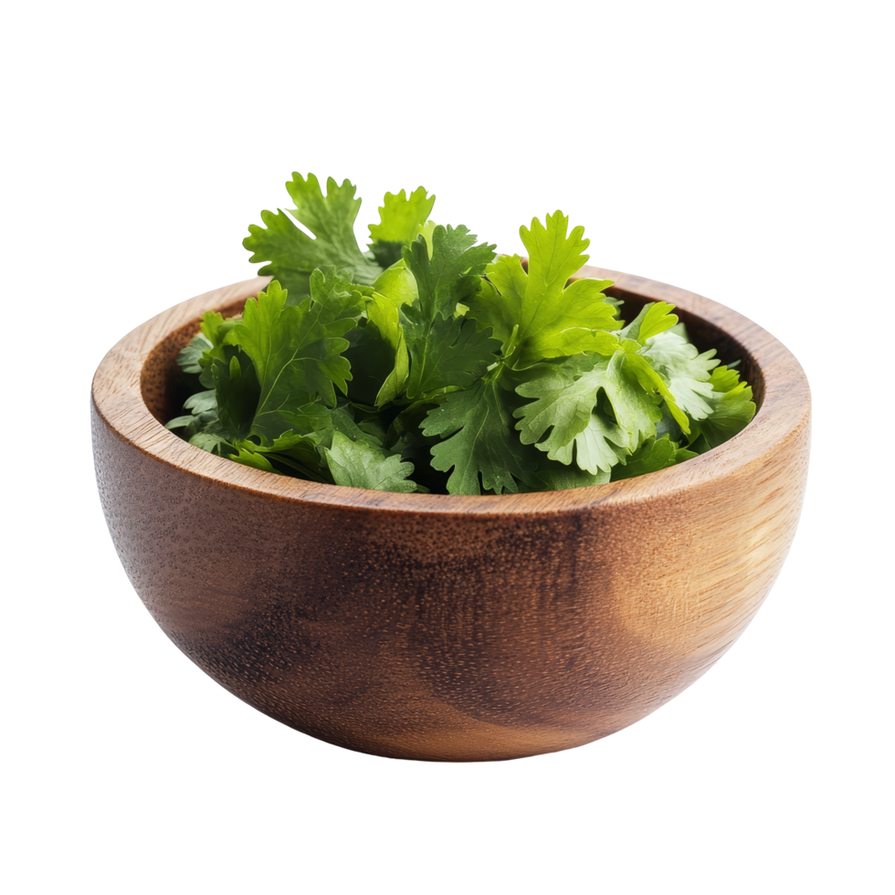 Fresh coriander leaves in a rustic wooden bowl against a clean transparent background for culinary use, coriander leaf in wood bowl isolated on transparent background png