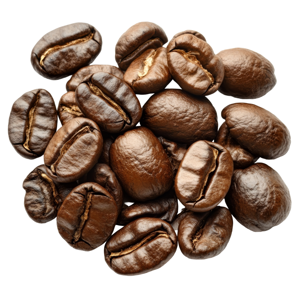 Freshly roasted coffee beans displayed on a transparent background, highlighting their glossy finish and rich color, Roasted coffee beans isolated on ransparent png