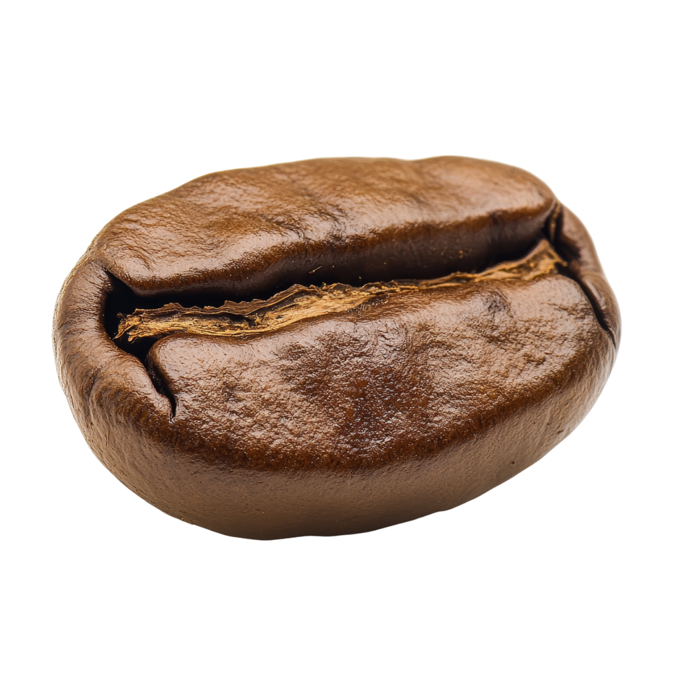 Roasted coffee bean highlighting its rich texture and color against a neutral background for brewing enthusiasts, Roasted Coffee Bean png