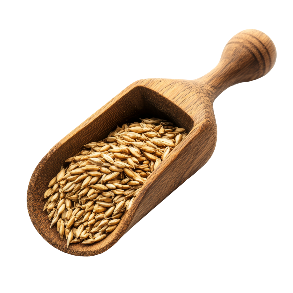 Wooden scoop filled with golden barley grain set against a clean transparent background, grain barley in wood scoop on transparent background png