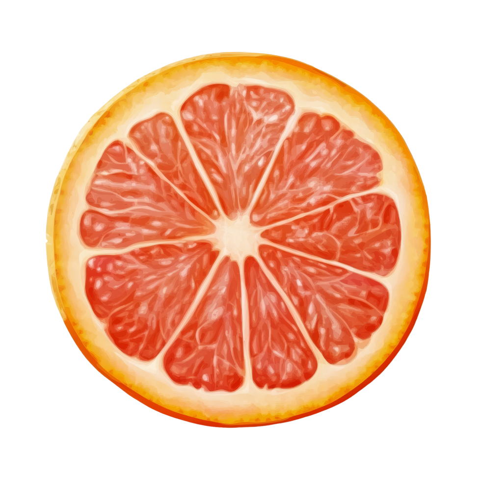 Freshly sliced grapefruit citrus fruit on transparent background showcasing vibrant inner segments and texture details, Grapefruit citrus fruit isolated on trransparent png