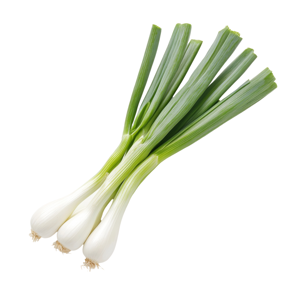 Fresh leeks arranged on a transparent background showcasing their vibrant green tops and smooth transparent bulbs, Leek transparent background png