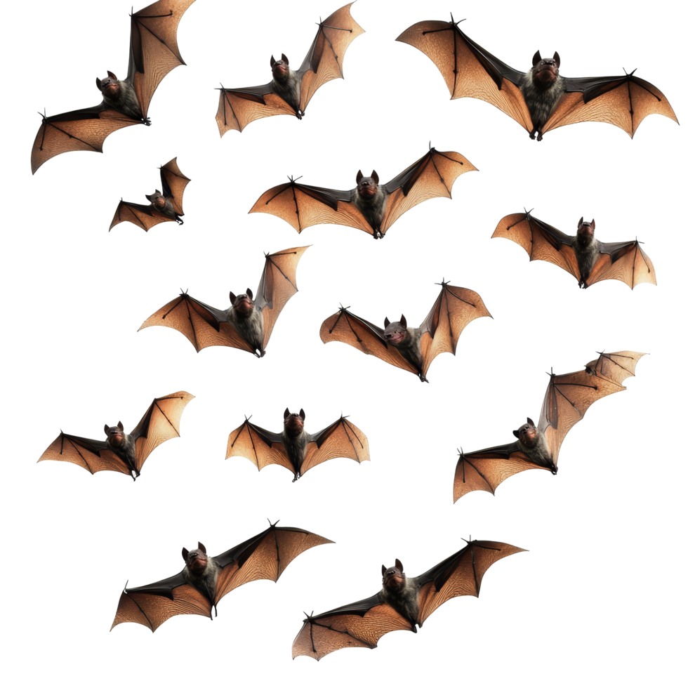A dynamic flock of bats flying in formation against a transparent backdrop at dusk, flying flock of bats, file of isolated object on transparent background png
