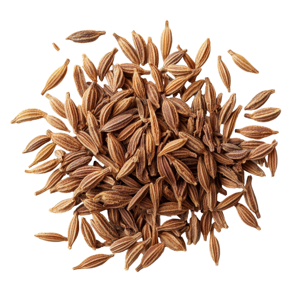 Dried caraway seeds scattered on a transparent background for culinary and medicinal uses, dried Caraway seeds isolated on transparent background png