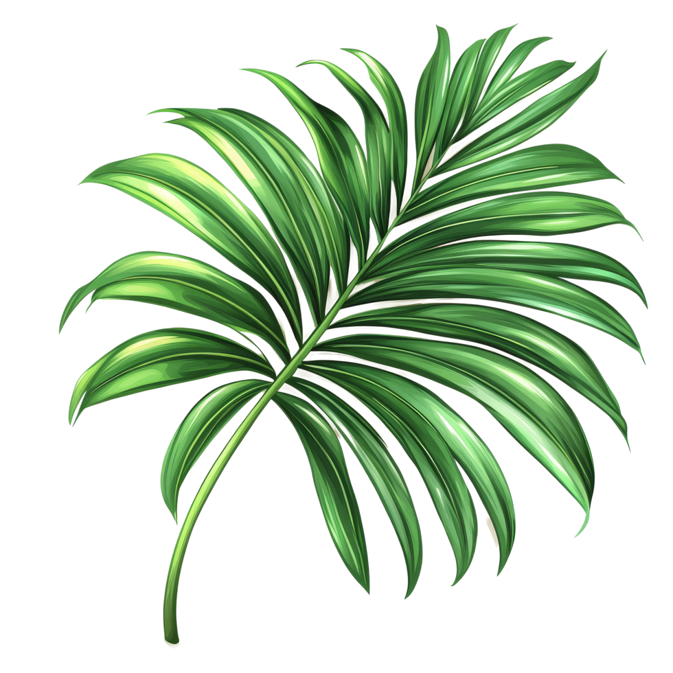 Tropical green palm leaf isolated against a transparent background showcasing natural texture and vibrant colors, tropical green palm leaf tree isolated on transparent background png