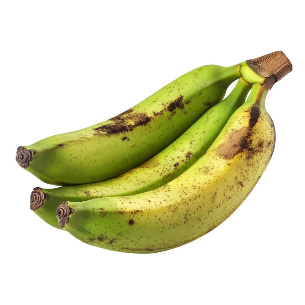 Fresh green bananas isolated on a clean transparent background showcasing their natural texture and vibrant color, Green banana isolated on transparent background png