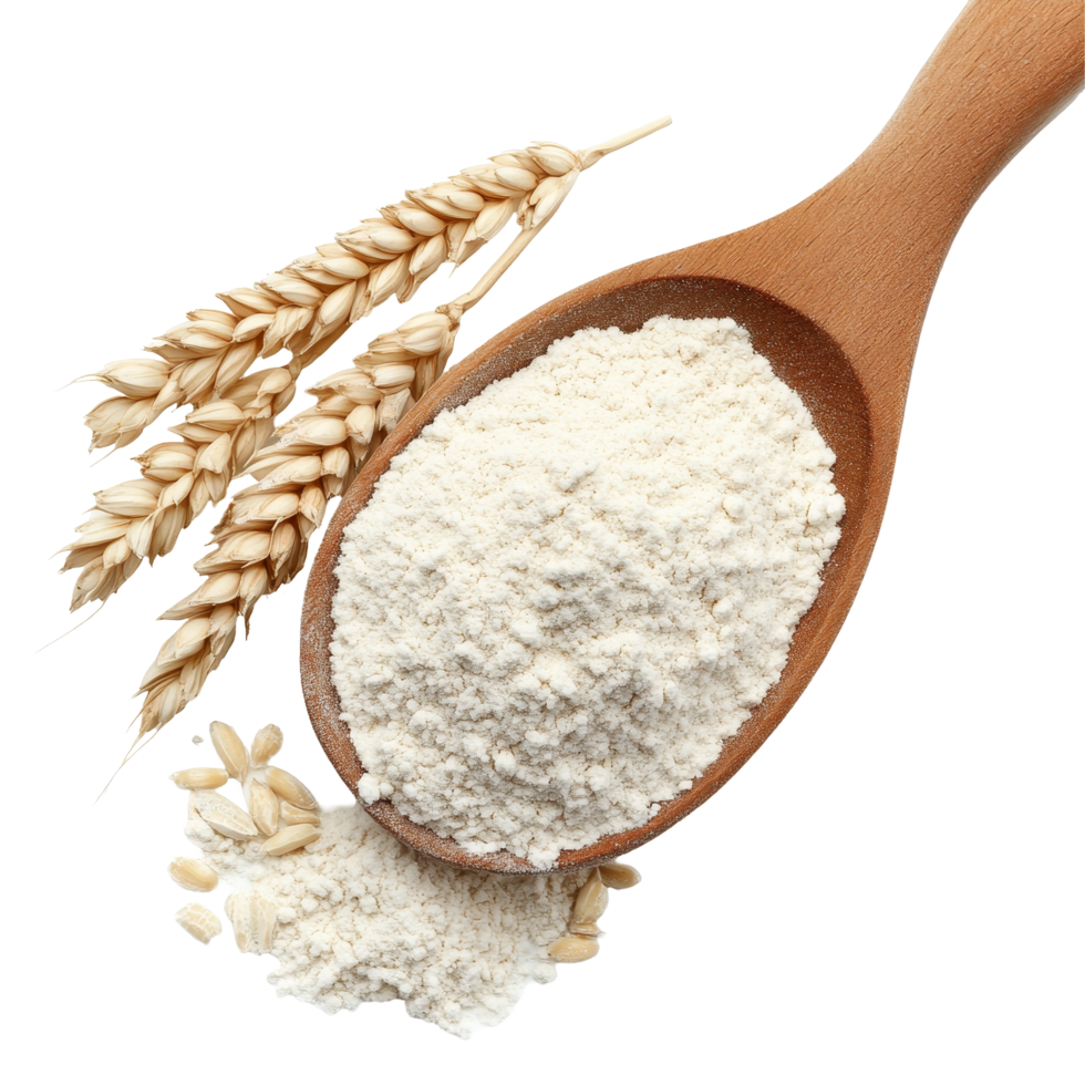A wooden spoon filled with transparent wheat flour next to wheat stalks on a clean transparent background, Pile of transparent wheat flour in wooden spoon on transparent background png