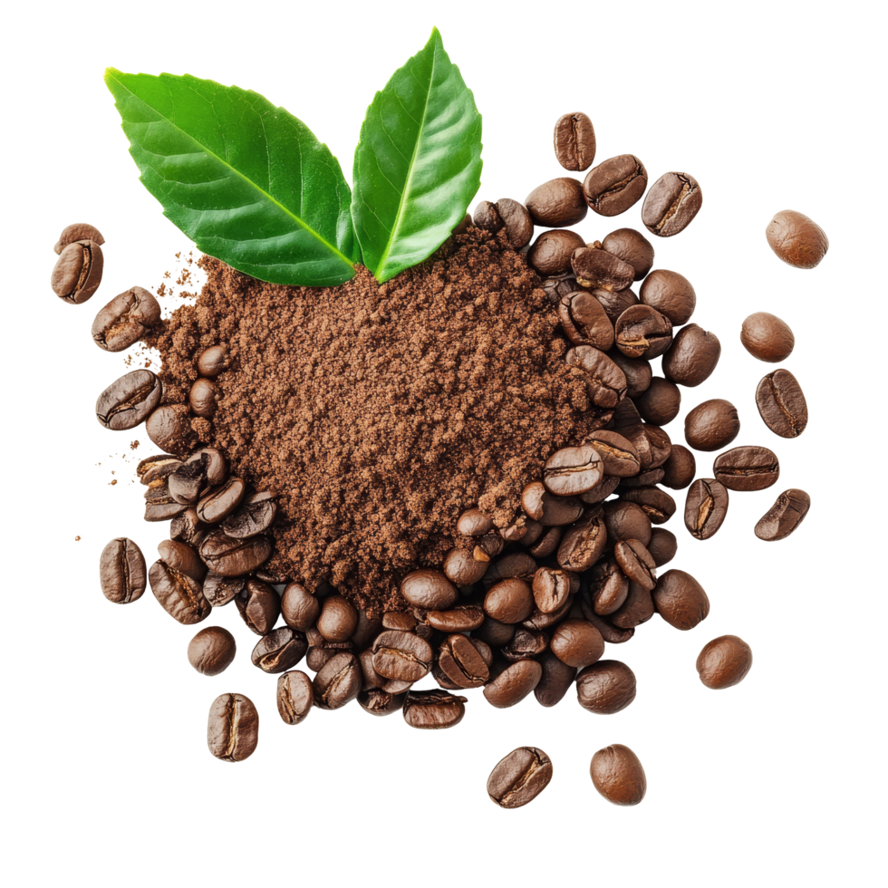 Instant coffee grains and fresh leaves arranged on a transparent background highlighting the essence of coffee cultivation, coffee grains. instant coffee and leaves on transparent background png