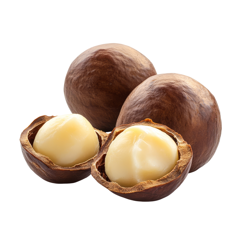 Isolated macadamia nuts and their shells showcasing the delicious inner kernel against a transparent background, macadamia nuts isolated on transparent background png