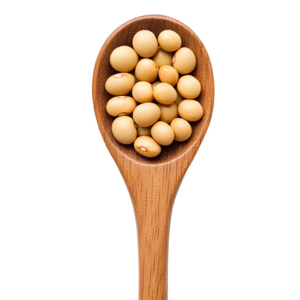 Soybeans in a wooden spoon on a transparent background highlighting the natural texture and color of the legumes, Soy beans in wood spoon isolated on transparent background png