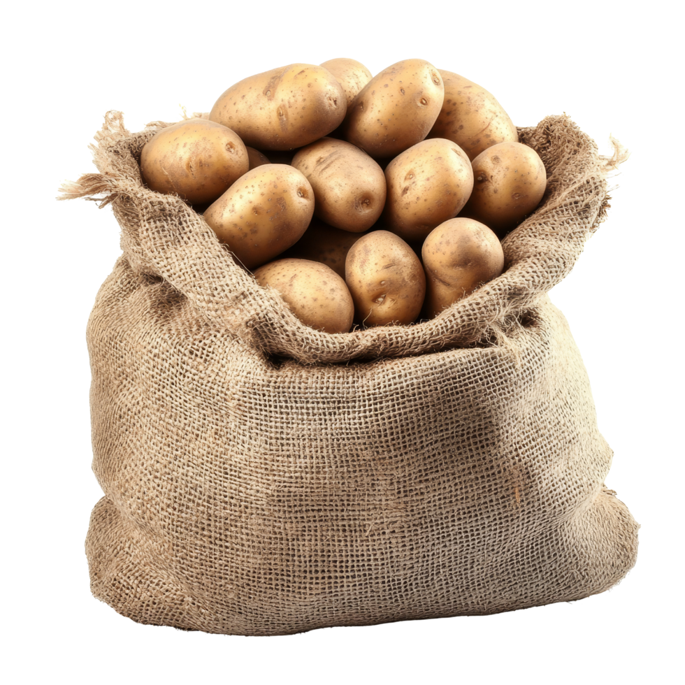 Sack of fresh potatoes isolated on transparent background for culinary use or agricultural display, Sack of potatoes isolated on transparent background png