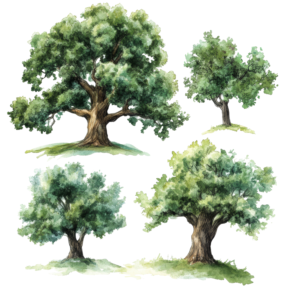 A collection of watercolor oak trees on a transparent background showcasing natures beauty and detail, 3D icon of a cute tree in birght green color isolated transparent background png