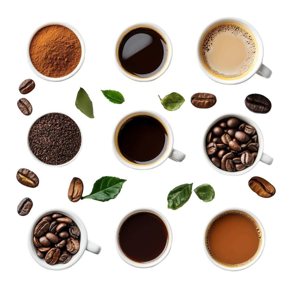 A variety of coffee types and ingredients arranged aesthetically on a transparent surface, Different types of coffee and ingredients png