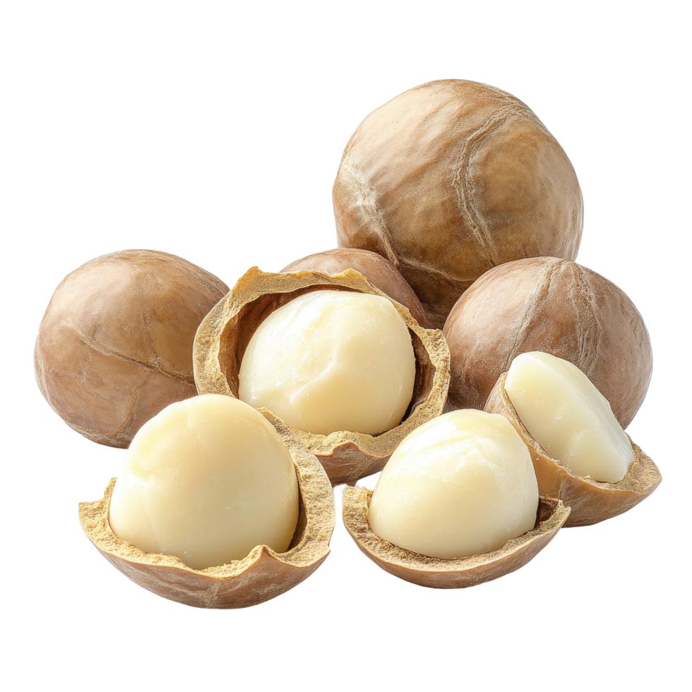 Fresh macadamia nuts in their shells and shelled on a clean transparent background highlighting their natural texture, fresh macadamia nuts isolated on transparent background png