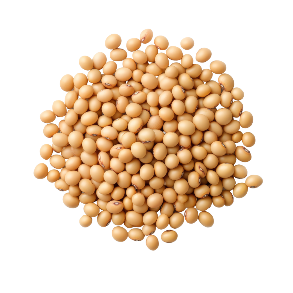 Isolated soy bean seeds on a transparent background, showcasing their natural color and shape for clarity, Soy beans seeds isolated on trransparent png