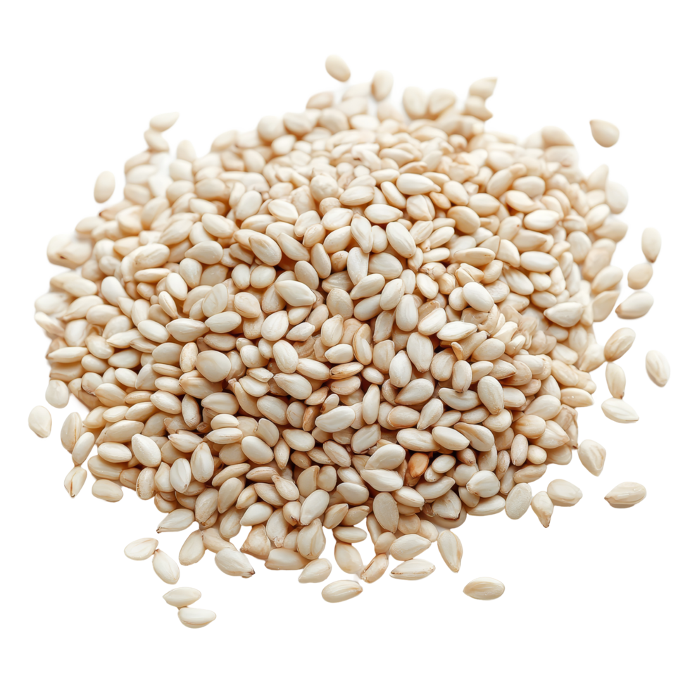 A closeup view of scattered transparent sesame seeds on a bright transparent background showcasing their shape and texture, transparent sesame on transparent background png