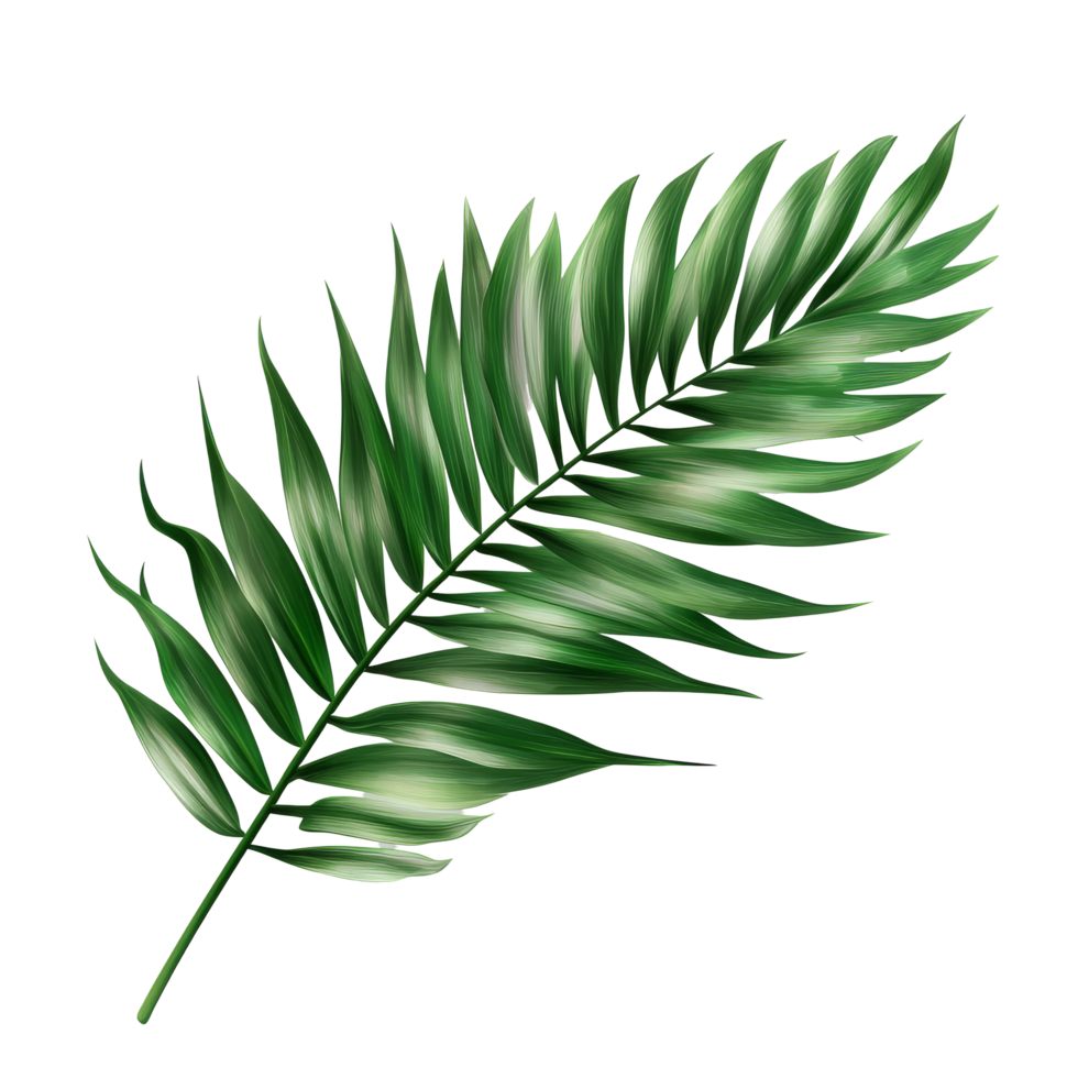 A vibrant tropical green palm leaf beautifully isolated on a transparent background showcasing natures elegance, tropical green palm leaf tree isolated on transparent background png