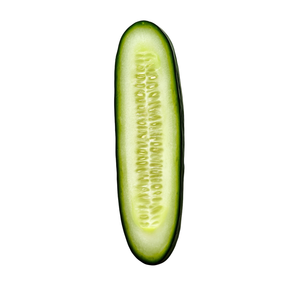 Freshly sliced cucumber on a clean transparent background highlighting its vibrant green color and texture, Fresh slice cucumber on transparent background png
