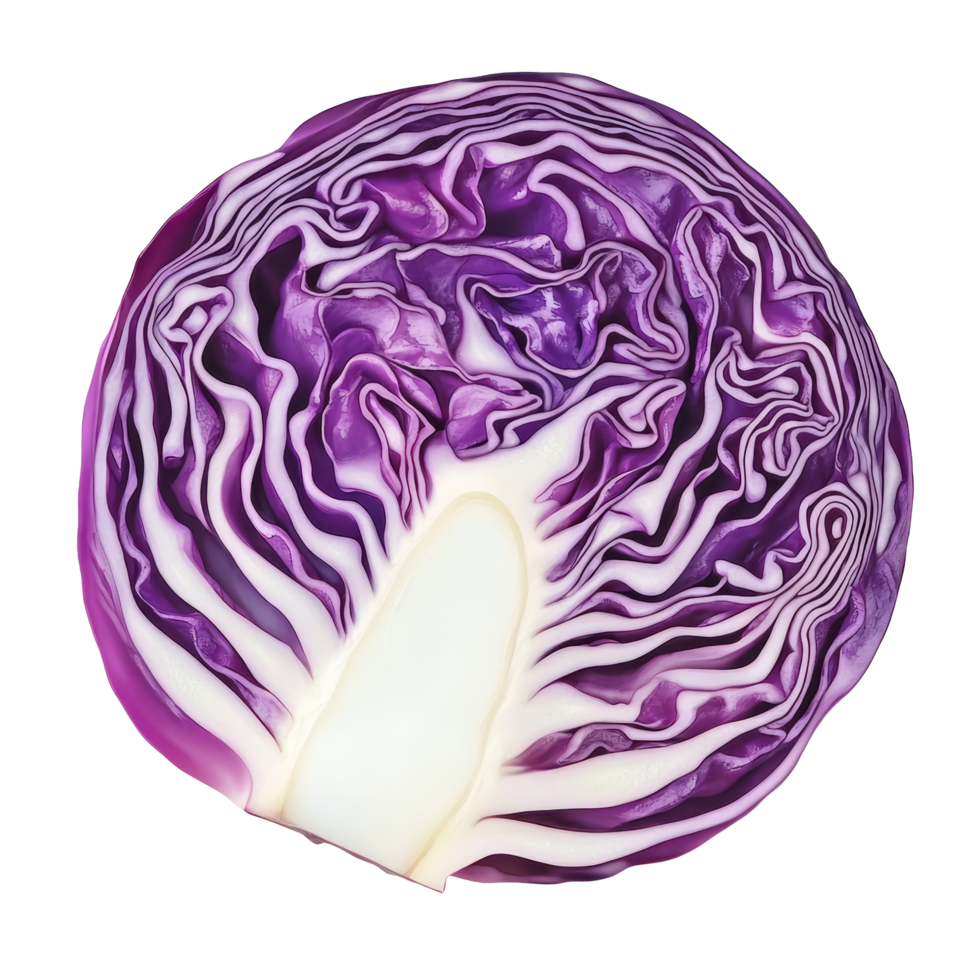 Detailed view of a slice of red cabbage showcasing its rich color and unique texture on a transparent background, Red cabbage slice isolated on transparent background png