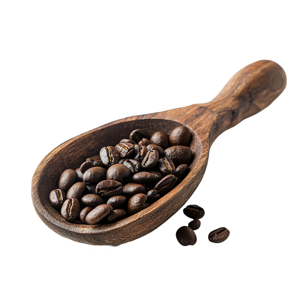 Freshly roasted coffee beans in a wooden scoop on a smooth surface under natural light, Coffee beans on wooden scoop png