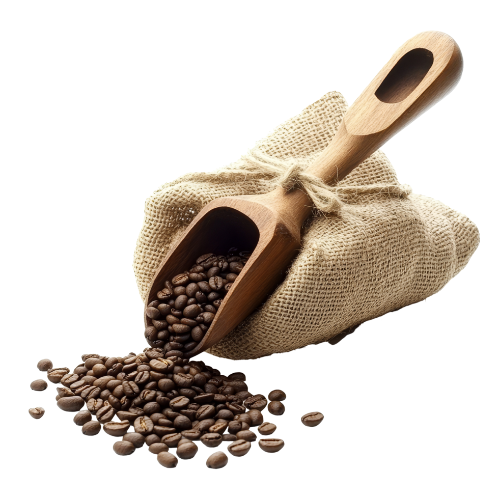 A burlap sack of coffee beans with a wooden scoop pouring out rich coffee beans on a light background, Coffee beans, burlap sack and wooden scoop isolated on transparent background Stock Photo png