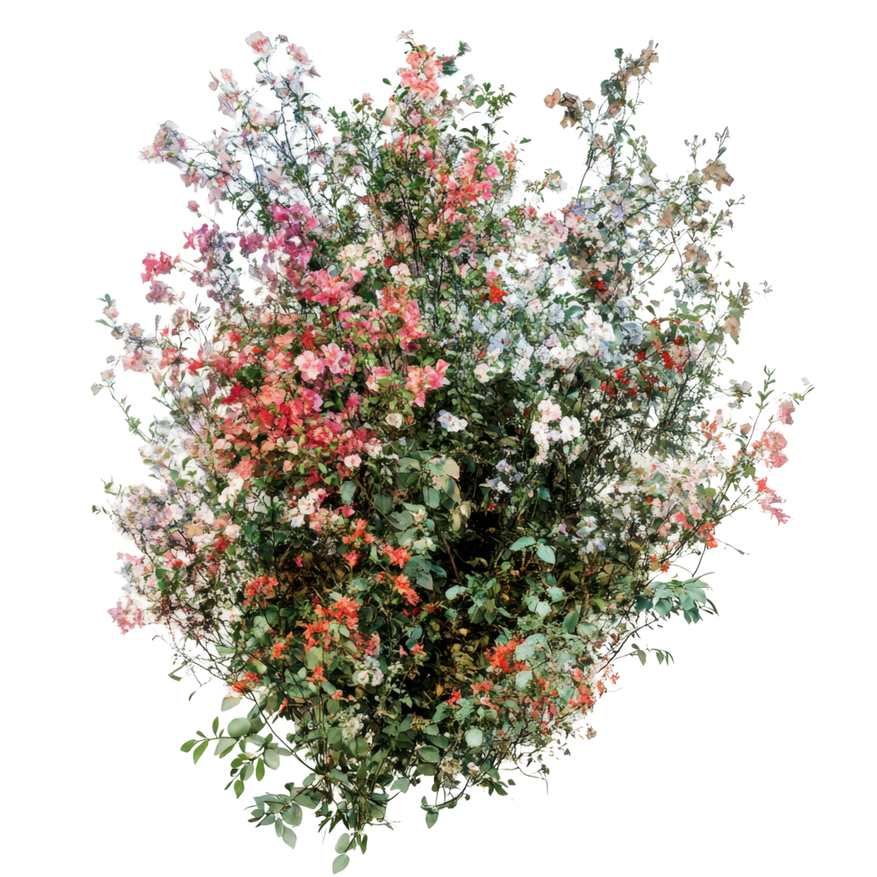 A colorful bush of flowers on a transparent background creates a stunning spring display, imagine bush of flowers on transparent background png