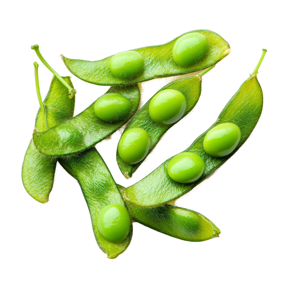 Fresh green soy beans on a transparent background showcasing vibrant pods and peas for culinary use and nutrition, green soy beans isolated on transparent background png