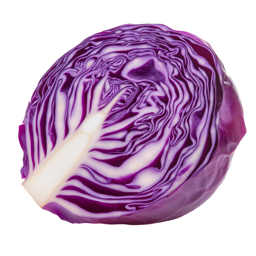 Fresh red cabbage slice with vibrant purple leaves on a transparent background showcasing its crisp texture, Red cabbage slice with leaf isolated on transparent background png