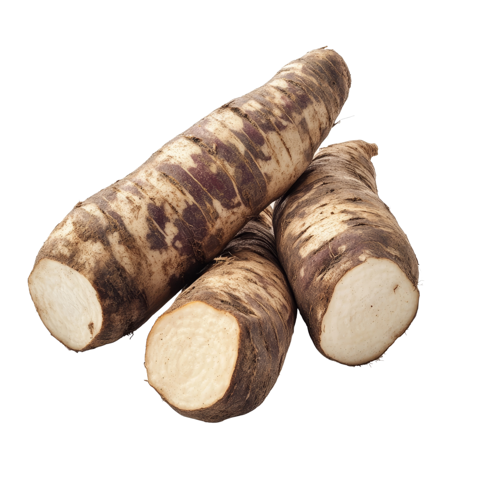 Freshly harvested yacon roots displayed on a clean transparent background ready for culinary use or health benefits, Fresh Yacon roots on transparent background png