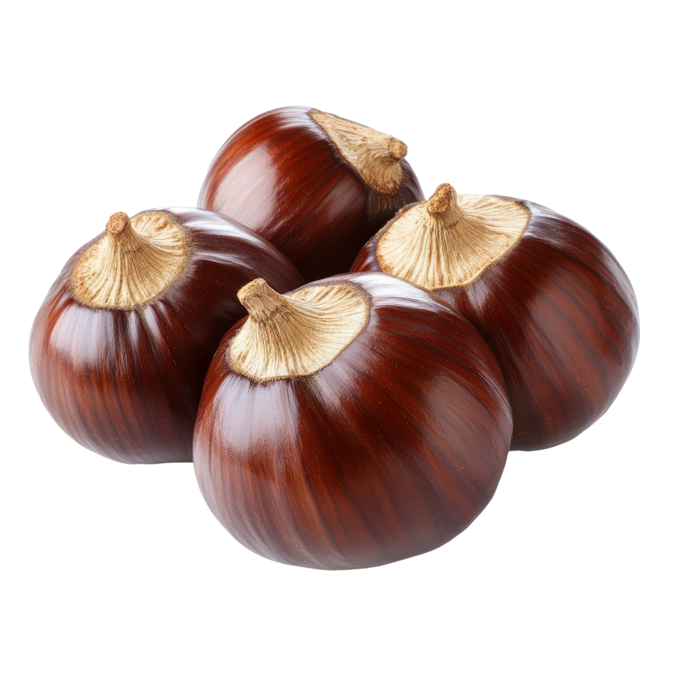 Organic chestnuts gathered on a bright transparent surface showcasing their glossy, rich appearance and unique shapes, Organic four chestnuts on a transparent background png