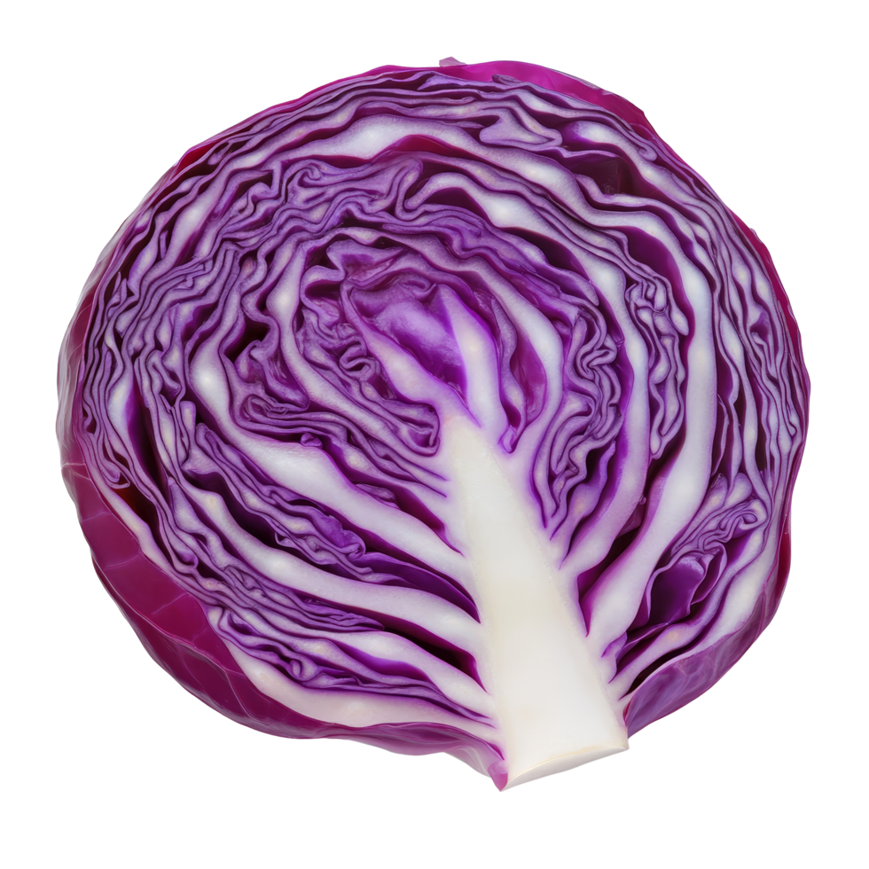 Freshly sliced red cabbage with vibrant purple leaves on a clean transparent background for culinary presentation, Red cabbage slice with leaf isolated on transparent background png