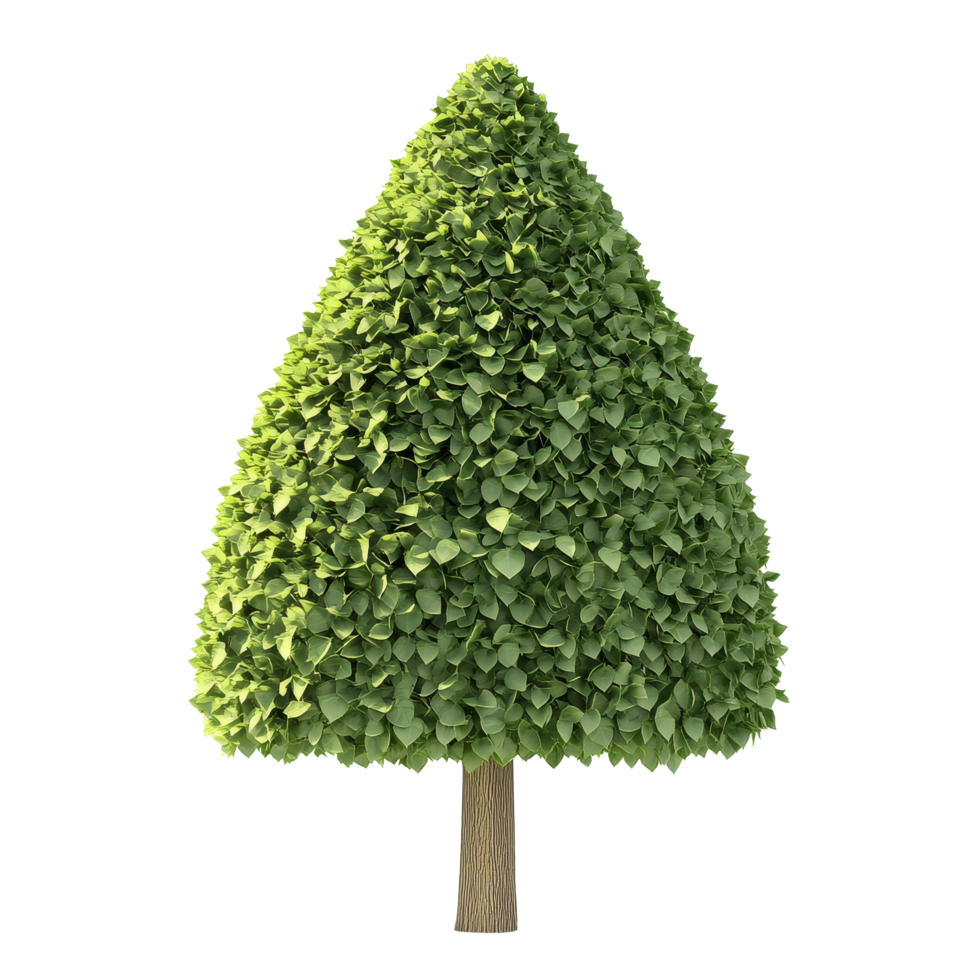 Isolated coneshaped tree on a transparent background showcasing a lush green crown with vibrant leaves, Cone shape tree flat 3d isolated on transparent background png
