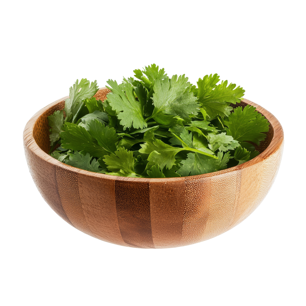 Fresh coriander leaves in a wooden bowl isolated on a transparent background, perfect for cooking and garnishing dishes, coriander leaf in wood bowl isolated on transparent background png