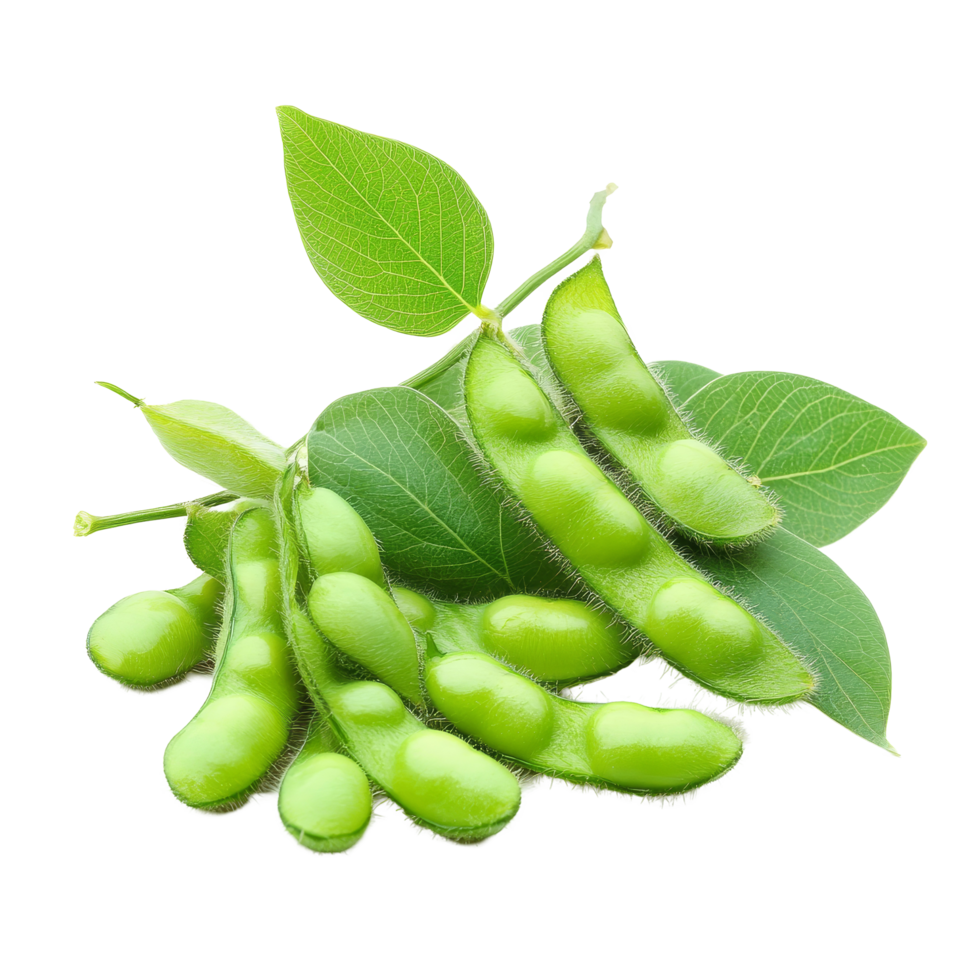 Fresh green soybeans with leaves displayed on a clean transparent background for culinary use and nutrition, green soybeans on transparent background png