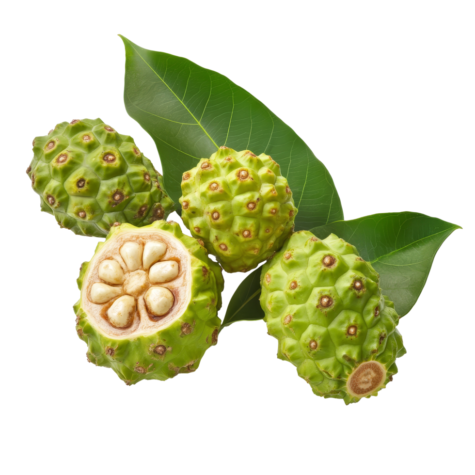 Fresh Noni fruit arranged with green leaves on a transparent background, showcasing its unique texture and natural appeal, Noni fruit on transparent background background png