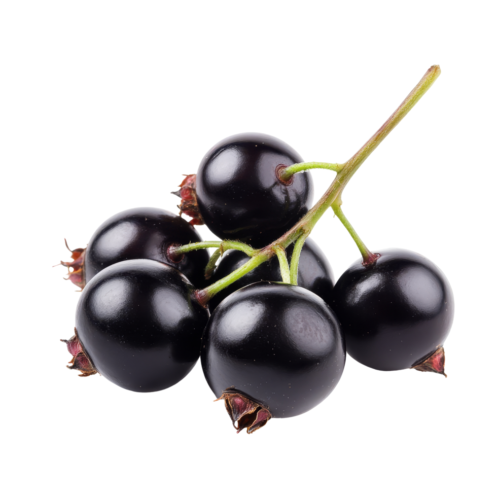 Fresh black currant fruit cluster on a clean transparent background, perfect for healthy cooking and snacking, Fresh black currant fruit on a transparent background png