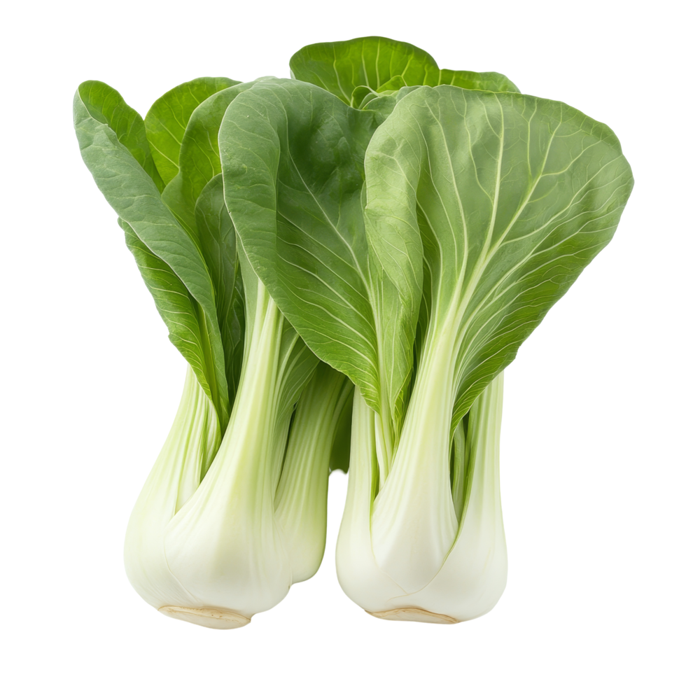 Fresh bok choy on a transparent background showcasing its vibrant green leaves and crisp texture, Bok choy on transparent background png