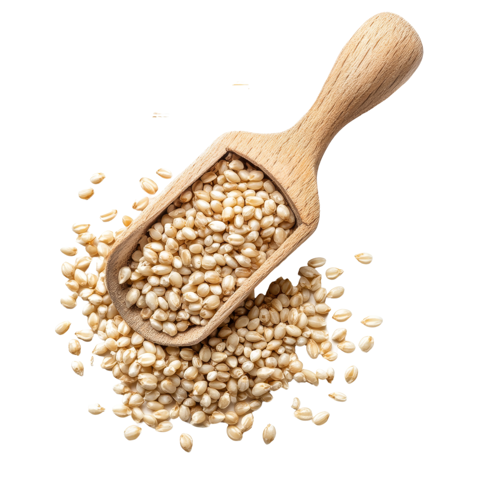 A wooden scoop filled with pearl barley rests on a transparent background, highlighting its natural texture and color, pile of pearl barley in wood scoop on transparent background png