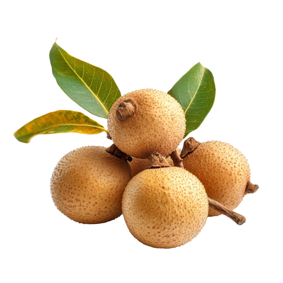 Fresh longan with green leaves arranged on a clean transparent background showcasing its tropical appeal and natural texture, Longan on transparent background png