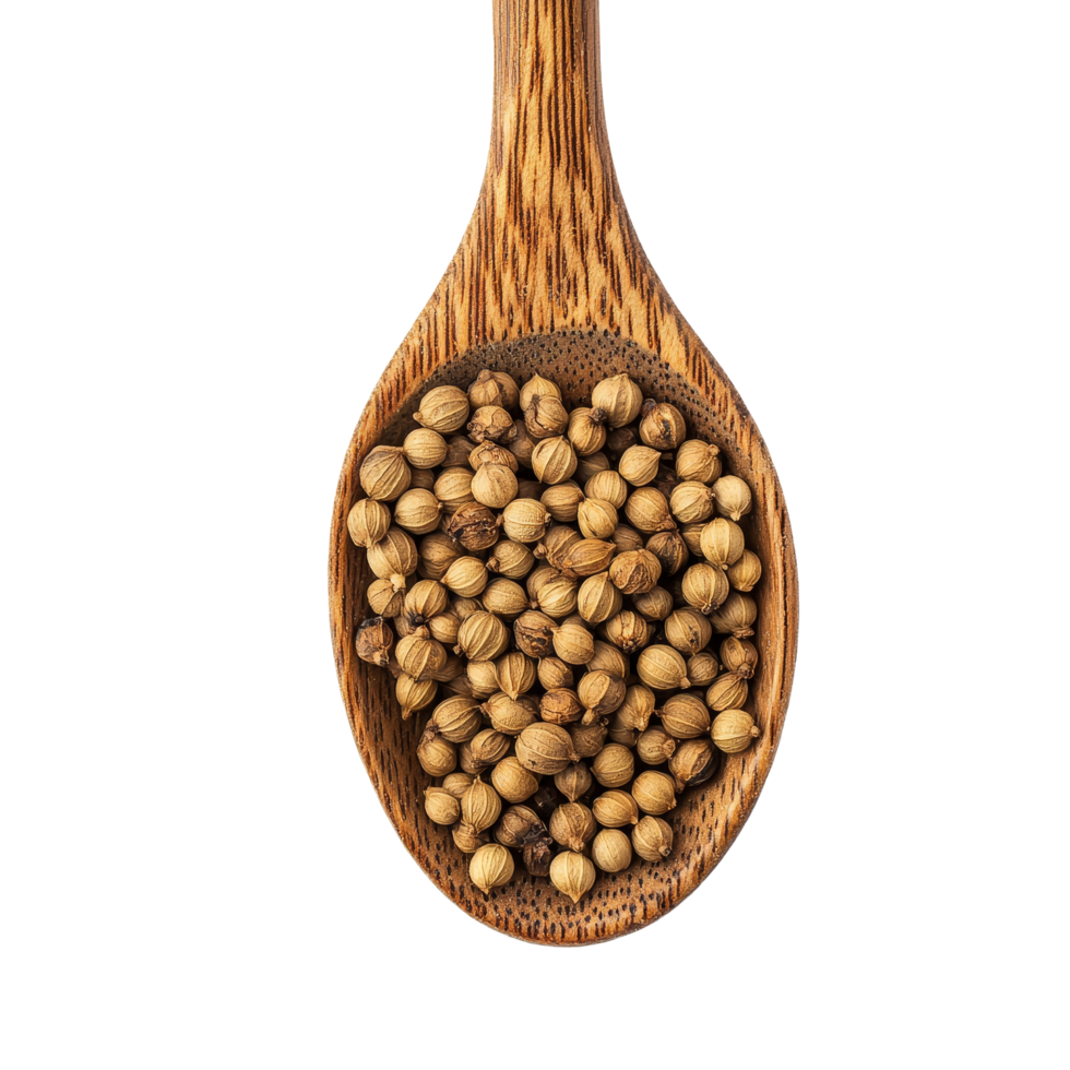 Coriander seeds displayed in a wooden spoon on a transparent background for culinary and medicinal use, Coriander seeds in wood spoon on transparent background png