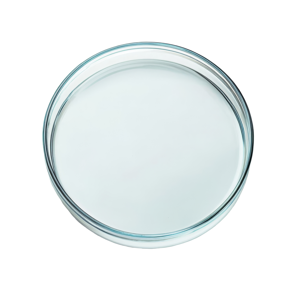 Empty petri dish viewed from above on a transparent background in a laboratory setting, Empty petri dish isolated on transparent background flat lay png