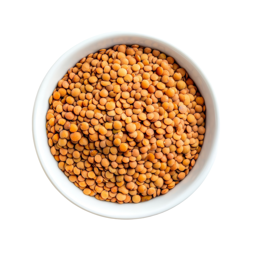 Uncooked lentils in a transparent bowl on a plain background ready for cooking in a healthy meal preparation, Uncooked lentils in transparent bowl isolated on transparent background png